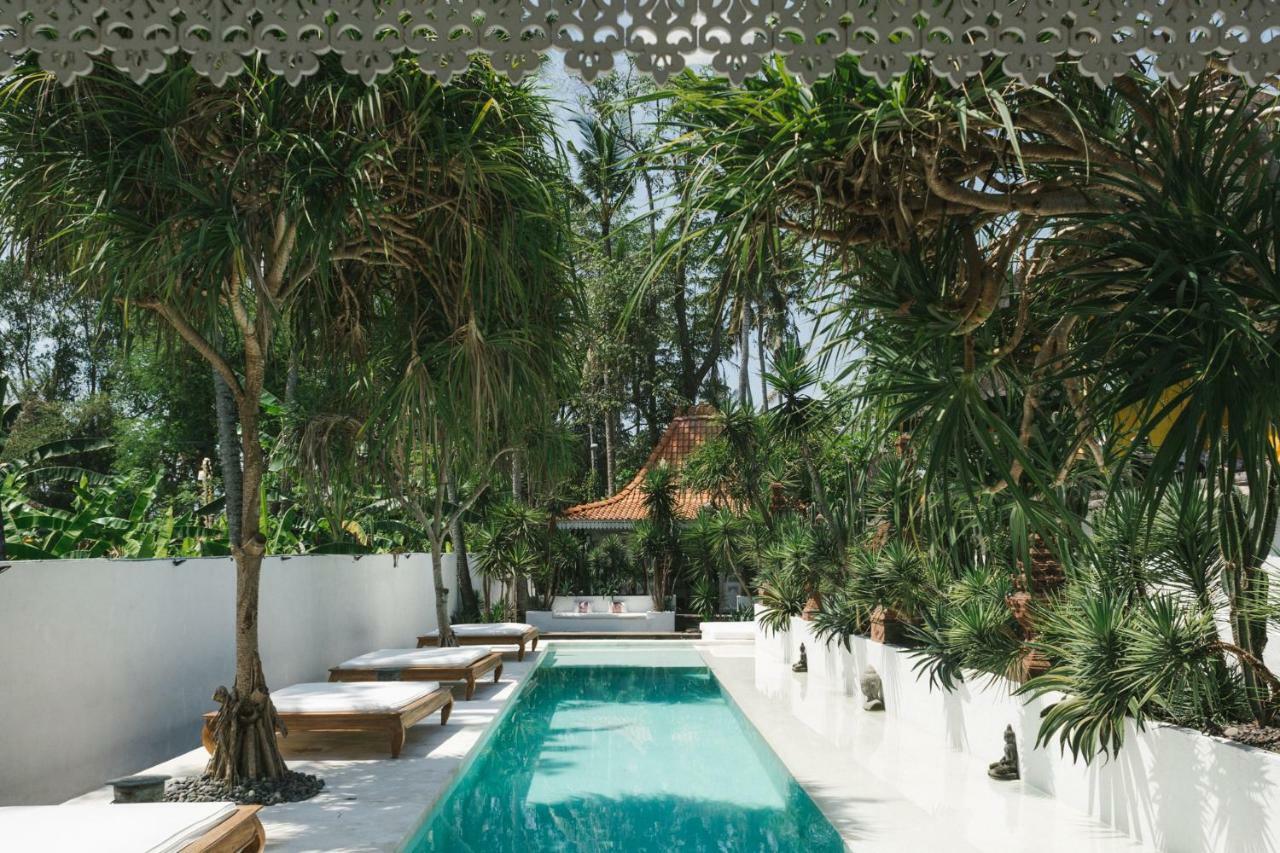 The Seseh House Villa Canggu  Luaran gambar