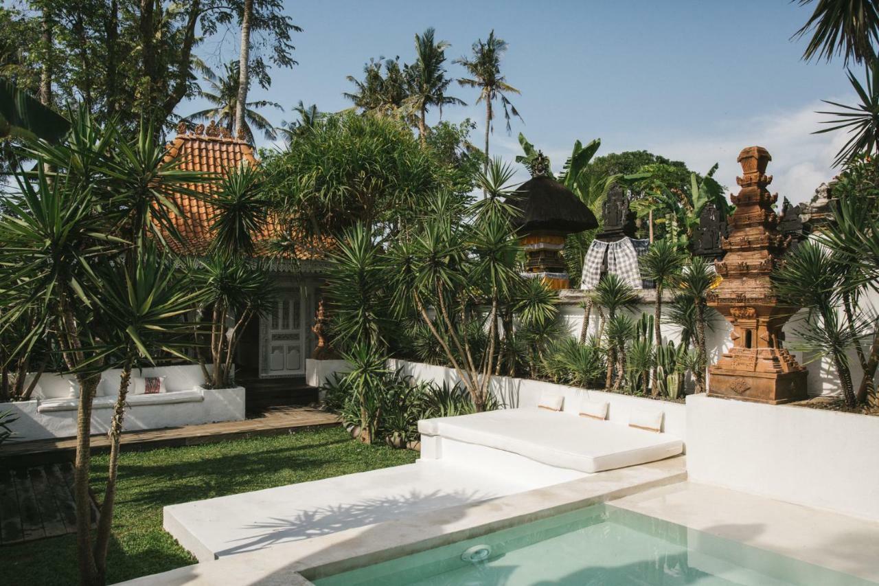 The Seseh House Villa Canggu  Luaran gambar