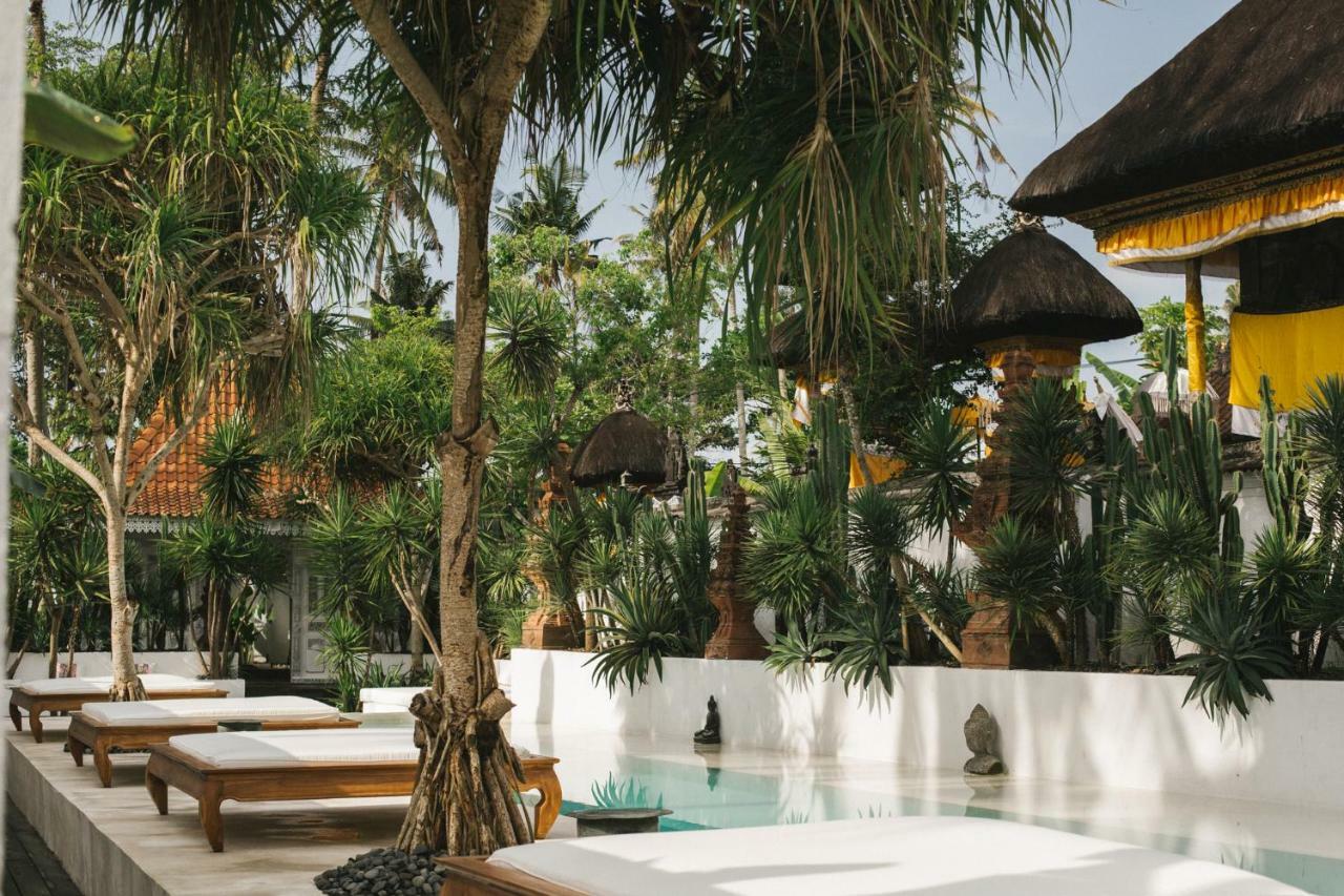 The Seseh House Villa Canggu  Luaran gambar