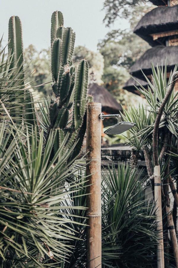 The Seseh House Villa Canggu  Luaran gambar