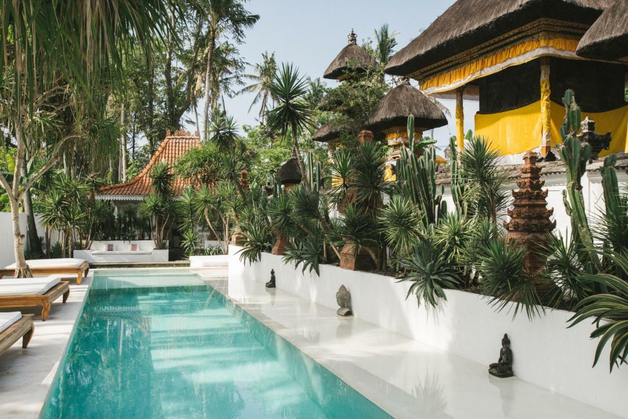 The Seseh House Villa Canggu  Luaran gambar